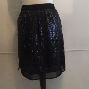 Elegant Black Falcon & Bloom Sequin Skirt